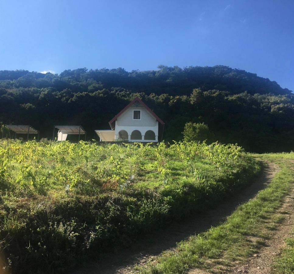 Chateau Segesdi Borapartman Gyulakeszi Esterno foto