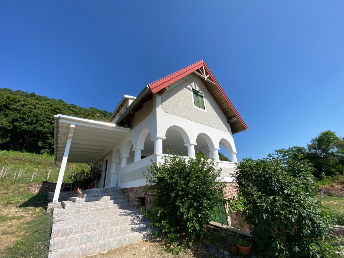 Chateau Segesdi Borapartman Gyulakeszi Esterno foto