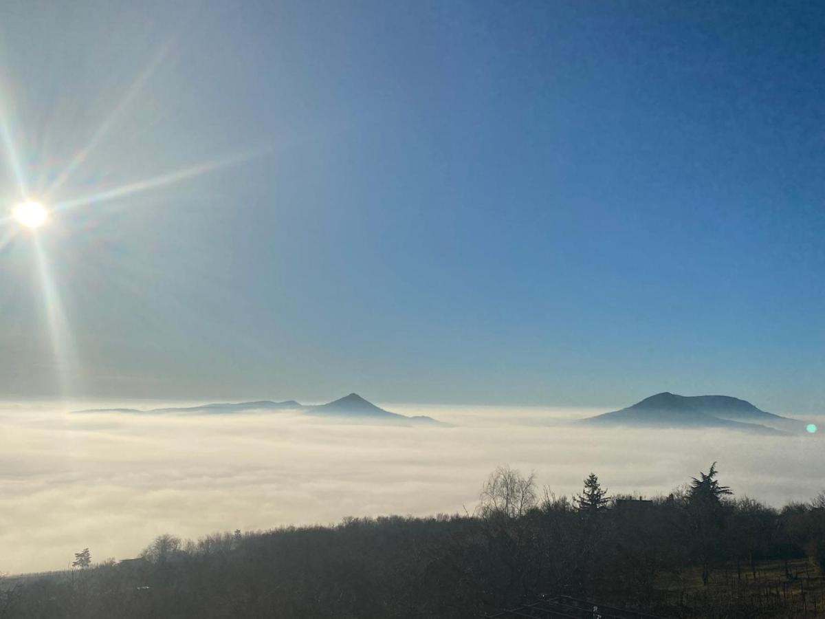 Chateau Segesdi Borapartman Gyulakeszi Esterno foto